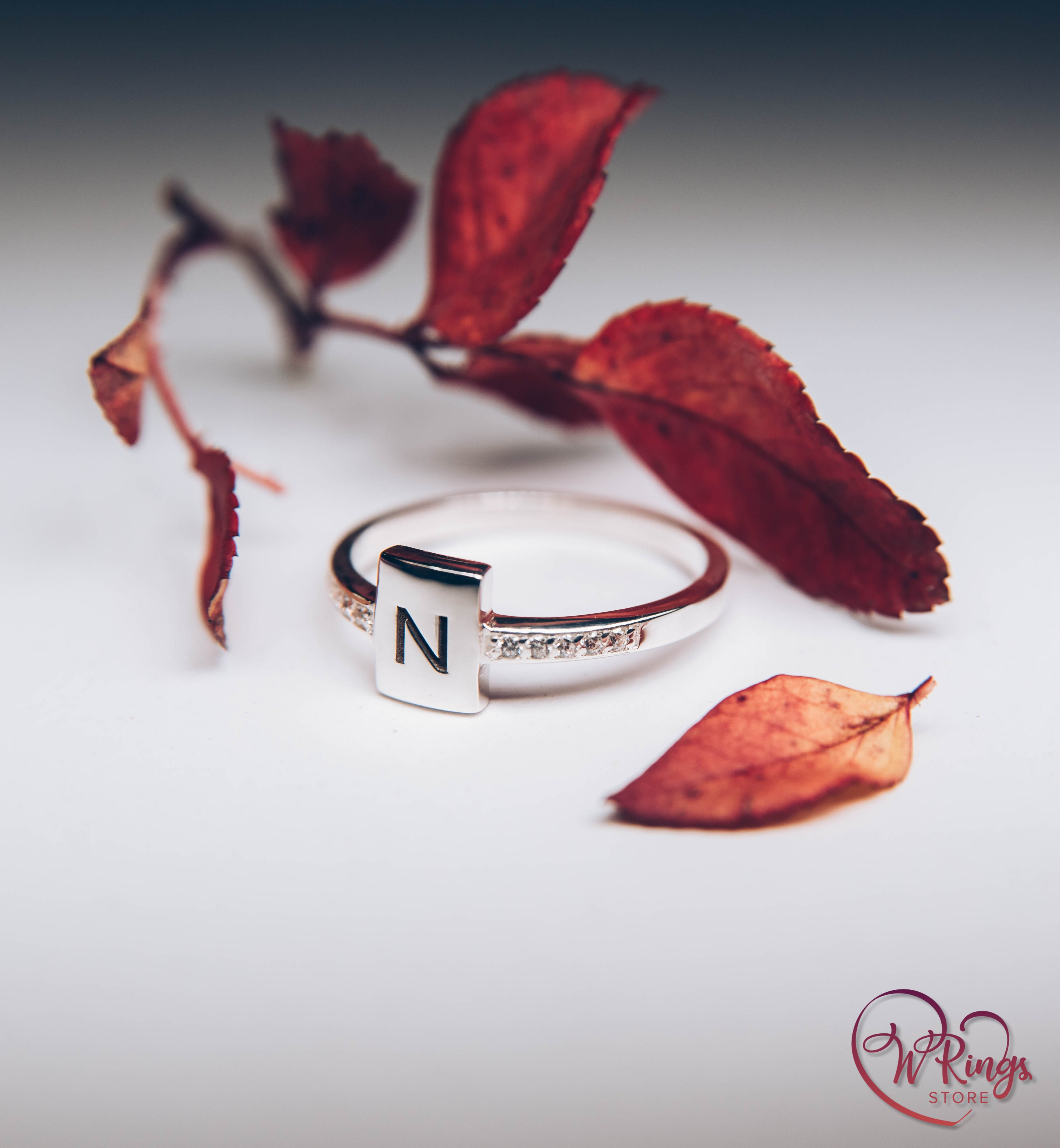 Personalized Letter N Women's Silver Flat Signet Ring & Side CZ