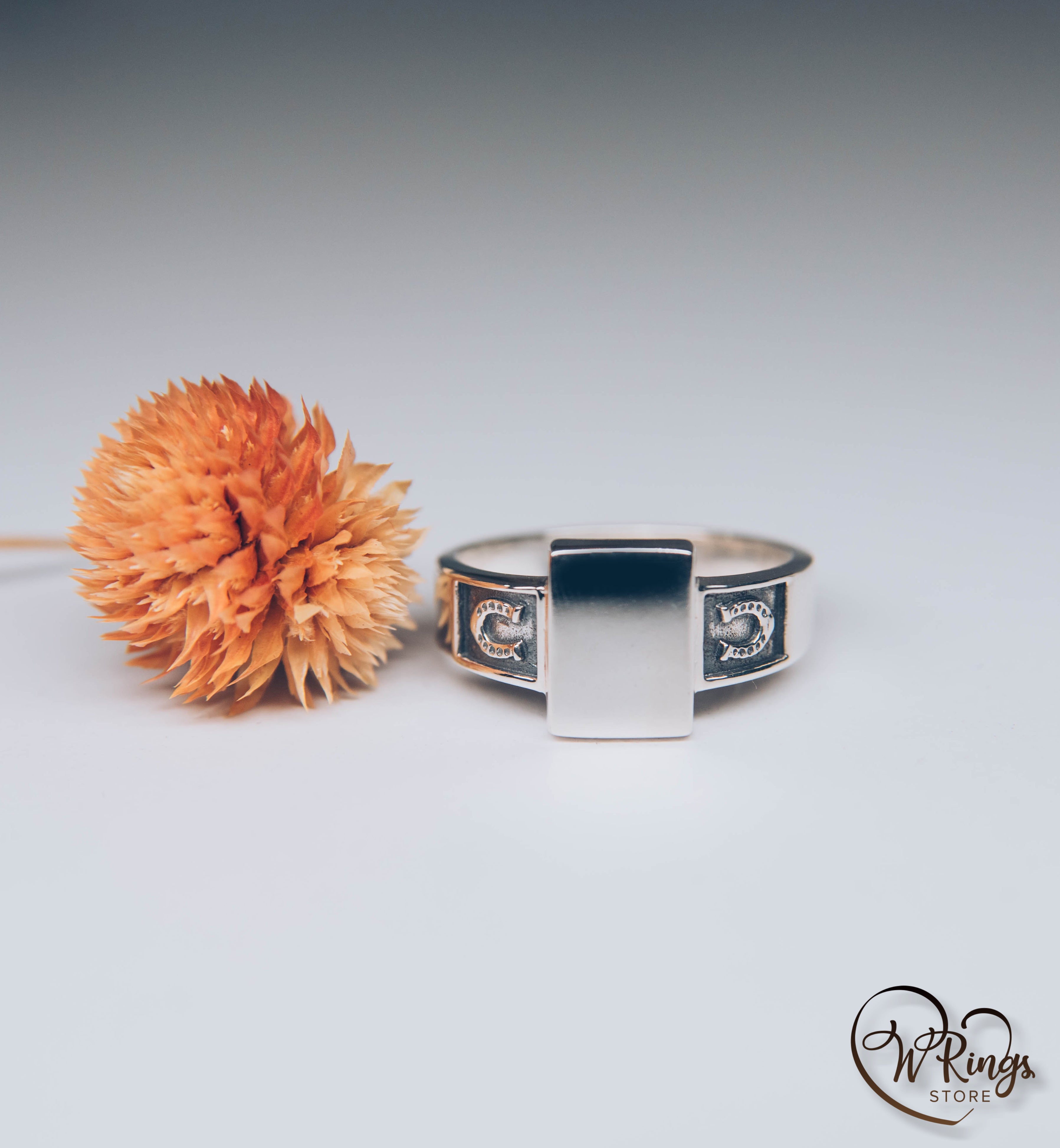 Rectangle shape & Side Horseshoes Silver Plain Signet Ring