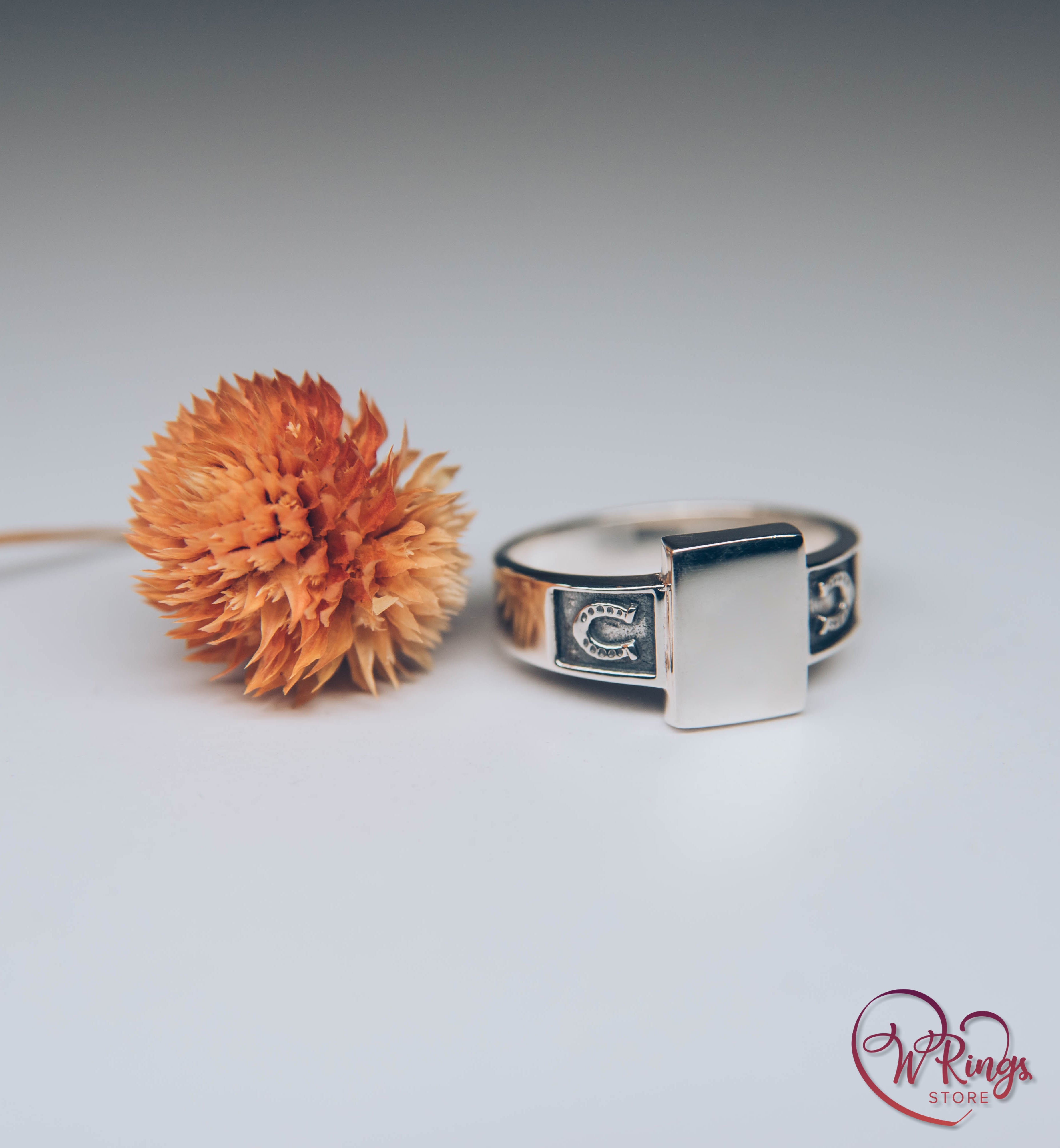 Rectangle shape & Side Horseshoes Silver Plain Signet Ring