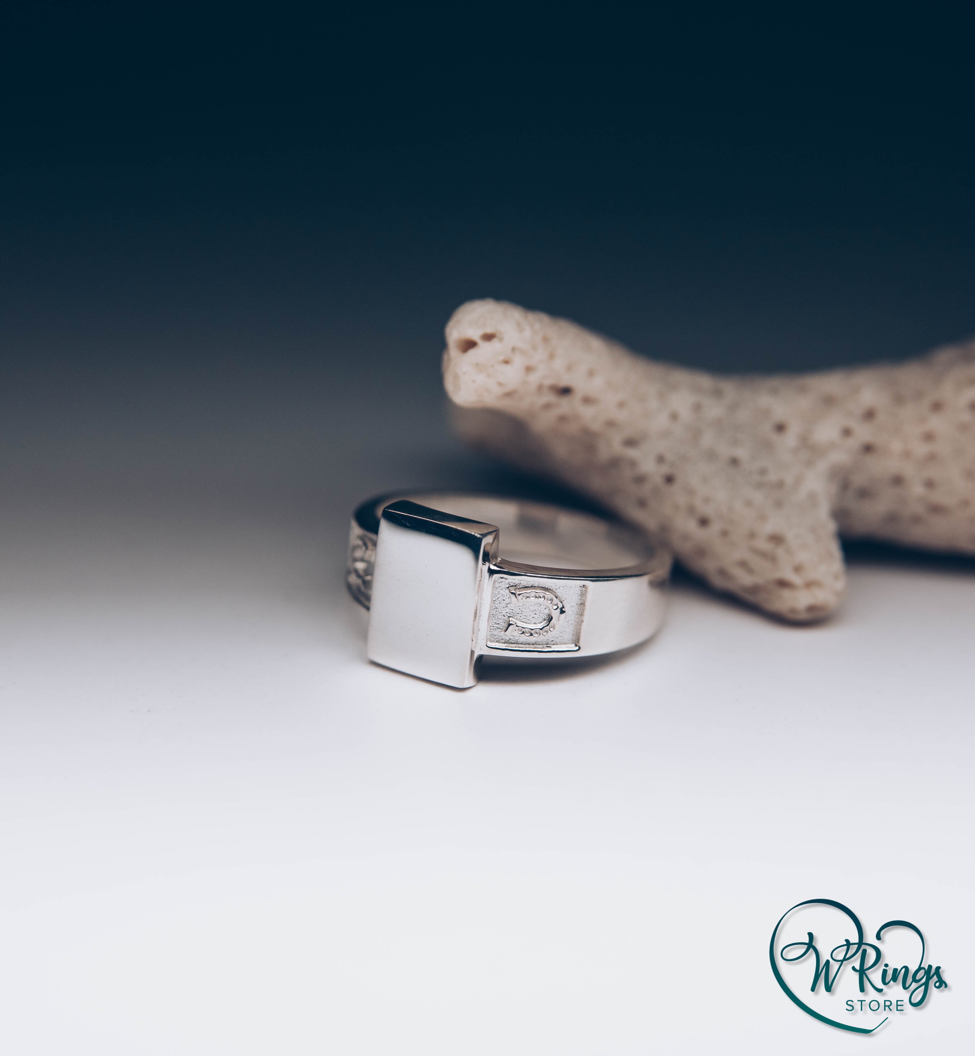 Rectangle shape & Side Horseshoes Silver Plain Signet Ring