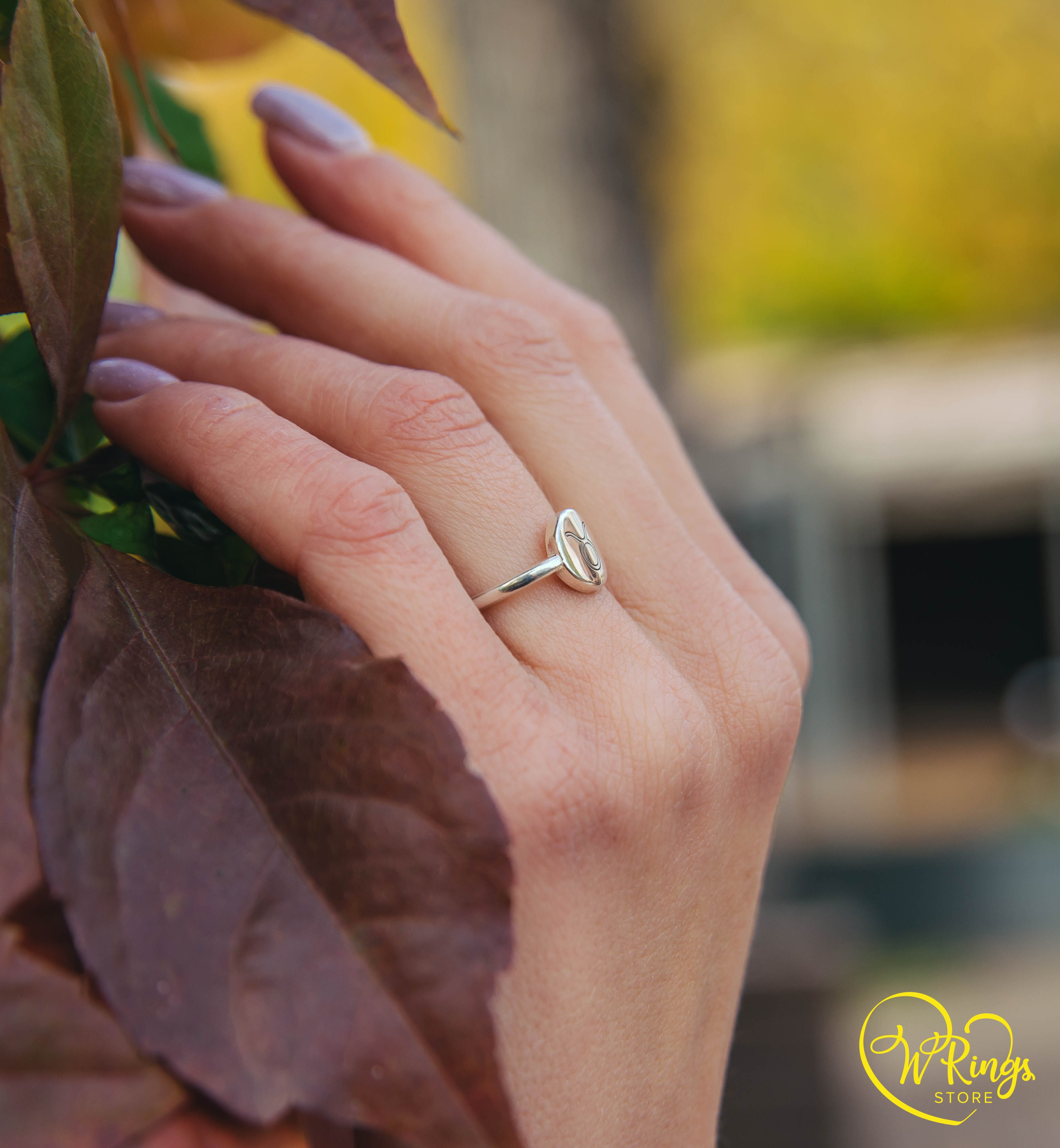 Taurus Zodiac Round & Plain Signet Ring in Silver